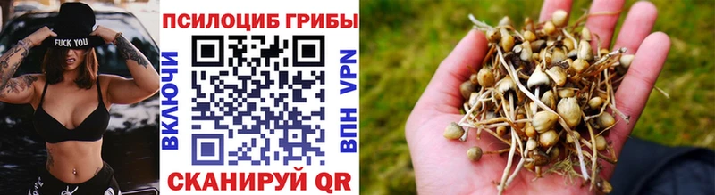 Галлюциногенные грибы Magic Shrooms  даркнет сайт  Ставрополь 